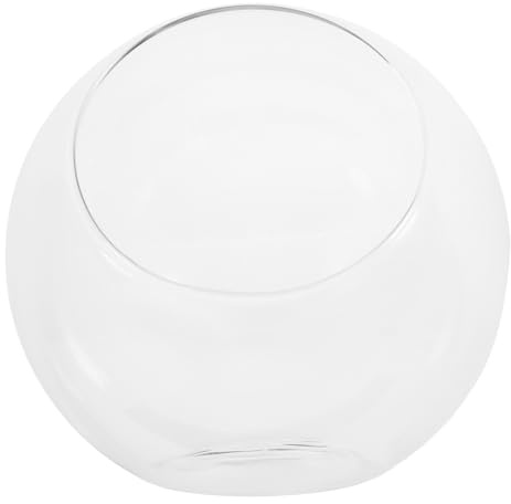 OKUMEYR Glas Pflanztopf mit Schräger Öffnung für Luftpflanzen und Sukkulenten Kreative Dekoration aus Glas Vielseitig Nutzbar im Büro für Miniatur Landschaften