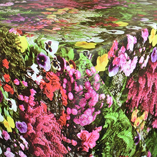KEVKUS Nappe en toile cirée W270 - Au mètre - Motif cyclamen - Roses pensées - Fleurs au choix - Rectangulaire et ronde - Ovale (passepoil (avec bande en plastique) - 130 x 170 cm