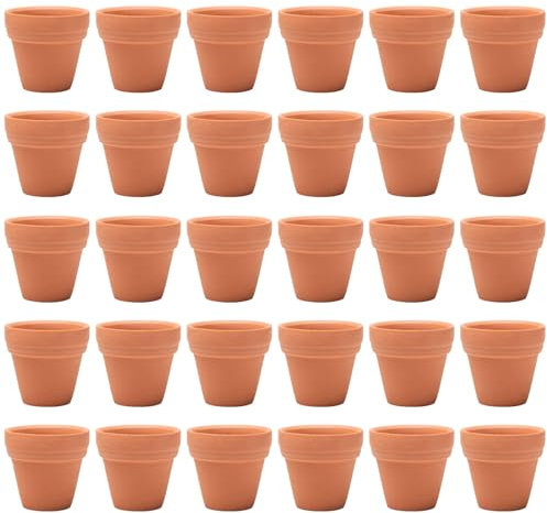 Pilikoll 30Pièce 3.5x3cm Petite Terre Cuite Pots avec Trou de Drainage Mini Pot de Fleur en Céramique Pot de Fleur Terre Cuite Pots de Fleurs pour Cactus Intérieur Extérieur Plantes Maison Succulentes