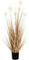 JonesHouseDeco Herbe de la pampa artificielle - Grande plante de cornouiller - Fleur artificielle en plastique - Queues de lapin - Fleurs séchées - Pour intérieur ou extérieur - Pour la maison - Toile