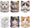 Decorazioni per feste a tema gatto, Include Piatti Piani Di Carta, Piatti Da Dessert, Per Forniture Per Feste a Tema Gatto, Set Di Stoviglie 30 Ospiti