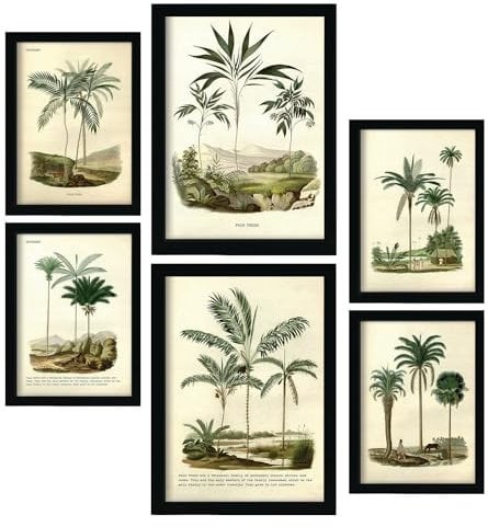 Nacnic Set of 6 Palm Trees Posters. In Vintage Prints Decorative Prints for your living room, bedroom, home. Wall art print. Sizes A4 and A3