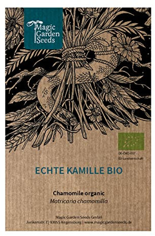 Echte Kamille (Matricaria chamomilla) Bio - ca. 3000 Samen