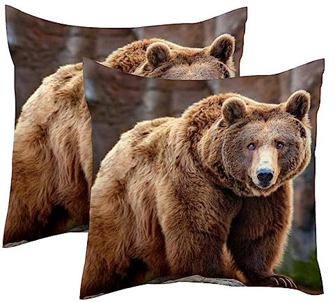 Big Brown Bear 2 Pack Square Throw Pillow Covers Decorative Soft Velvet Pillowcase for Couch Sofa Bed Car Living Room, 40x40cm