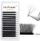 Extension Cils Volume Russe W Cils 5D Prefait Cils 0.07 D curl 8-14mm Mix Cils a Cils Bouquet Soie Volume Russe Professionnel Cils en Forme de W Extension de Gemerry Cils Individuel(5D-0.07D-mix 8-14)