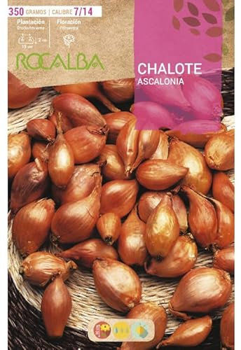 Bulbo de cebolla para plantar variedad chalote  350gr - Rocalba