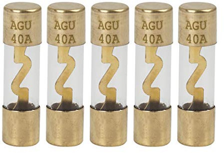 X AUTOHAUX 5 Stücke 40A AGU Sicherungen Feinsicherung Glassicherung Glasrohrsicherung KFZ Sicherung Schnelle Glas Sicherung Kit