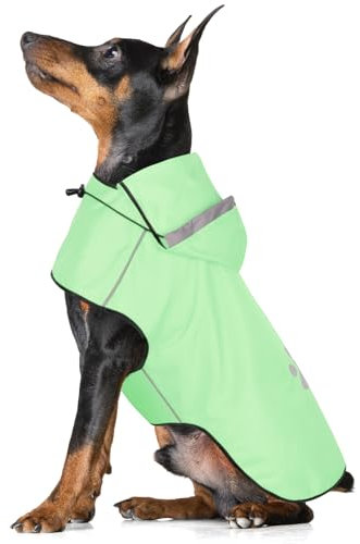 BiPawTi Verstellbar Regenmantel Hund Klein, Hunde-Regenjacke mit Klettverschluss - Ultraleicht & Wasserdicht Hunderegenmantel mit Reflektierenden Kapuze für Trockene, Sichere Gassigänge (S | Mint)