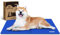 Nobleza Kühlmatte Hunde Extra Groß, 120 * 80cm, Kühldecke Selbstkühlend Ungiftige Gelauflagen, Kühlmatratze im Sommer, Blau, XXL