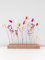 Flowerbar Feuerblüte | Trockenblumen & edle Eiche (60 cm) Blumenleiste, Flowergram, Dekoration, Getrocknete Blumen und massives Eichenholz, Nachhaltige Blumendekoration