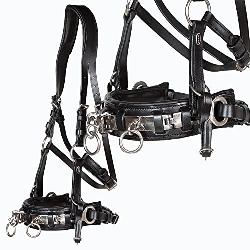 Heinick-Reitsport Profi Leder KAPPZAUM Edelstahl mit Gebissriemen Naseneisen ~ Schwarz ~ Warmblut