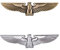 ZXRSJBL 2 PCS Kreative 3D-Autoaufkleber, Metall-Adler-Abzeichen, dekorative Aufkleber, personalisierte Auto Seite Logo für Auto, LKW, Motorrad