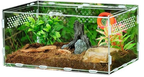 Reptilien Terrarium, Transparente Acryl Reptilienzuchtbox, Reptil Fütterungsbox, Transportboxen für Reptilien & Amphibien, Reptilien Behälter, Lebensräume für Reptilien Eidechsen Hornfrösche Spinnen