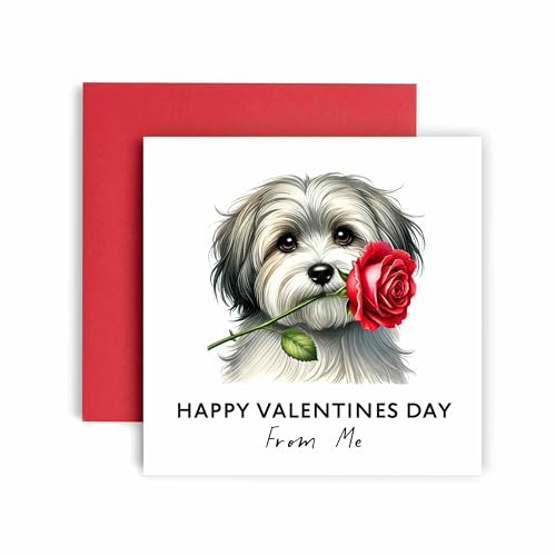 Huxters Valentines Card from the Dog – Havanese - Happy Valentines to Dog Mum and Dog Dad – Dog Best Friend (Havanese)