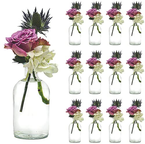 casavetro 6 oder 12 Stück Kleine Vase BOST 250ml Blumen Tisch Dekoration Hochzeit Party Set Flasche Glas klar (12 Stück- OK)
