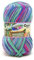 Opal 4 compartiments 100 g de forêt tropicale 19 – Die Urwaldschule 11335 – Clown de classe de Francis