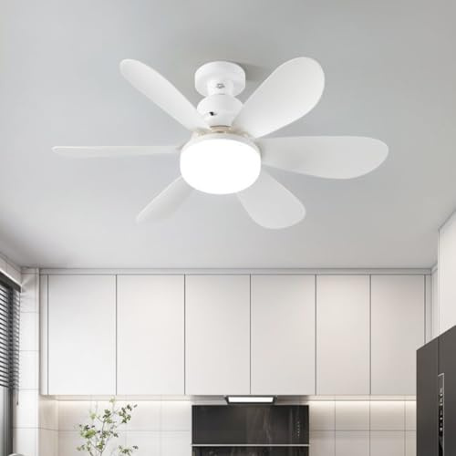 Diyeeni Ceiling Fan with Light for Socket, 20.5 Inch E26 Base Screw in Light Bulb Fan, Warm & White Dimmable Socket Ceiling Fan with Remote for Garage Bathroom, 1H/2H/4H Timing
