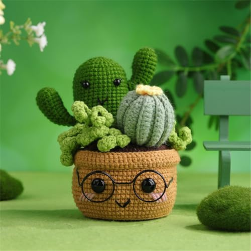 Meecaa Kaktuspflanzen-Häkelset für Anfänger Erwachsene und Profis, DIY Häkelset Zubehör, ideales kreatives DIY-Geschenk für Bastelliebhaber, inklusive Video-Tutorial, Anleitung (Kaktus)