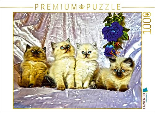 CALVENDO Puzzle Cats IN HDR 1000 Teile Puzzle quer | 1000 Teile Lege-Größe 64 x 48 cm Foto-Puzzle für glückliche Stunden