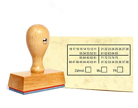 Stempel Zahnschema Z01 - Holzstempel 60 x 30 mm