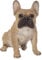 Vivid Arts Sitzende französische goldene Bulldogge