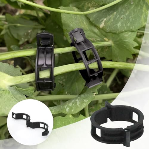 100 Stück Pflanzenstütz-Clips 2024, gesicherte Kunststoff-Pflanzenclips für Kletterpflanzen, Kunststoff-Spalier-Clips, Pflanzenstütz-Clips, Tomaten, Weinreben, Gemüse, Pflanzen-Befestigungsclips