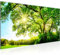 Runa Art Wandbild Sonniger Wald 100 x 40 cm Modern Bild auf Vlies Leinwand Wald Natur Wohnzimmer Schlafzimmer Grün Blau 049912a