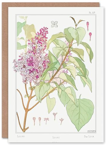 Artery8 Maurice Pillard Verneuil Art Card Lilac Flower Plant