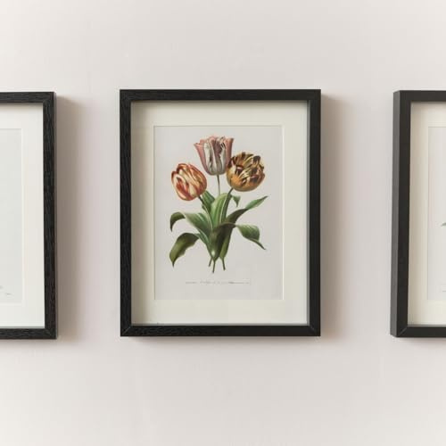 Melody Maison Vintage Red Tulip Flower Framed Wall Print 20cm x 25cm