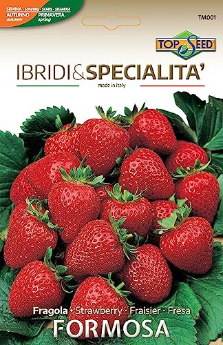 FRAGOLA FORMOSA Il meglio del seme per i migliori produttori - NO OGM - Sementi di Altissima Germinabilità (25 semi)
