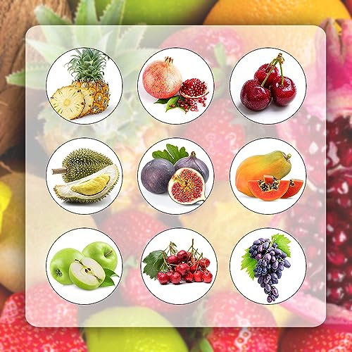 1350 pcs obst samen set balkon - obstsamen pflanztöpfe garten geschenk obst frisch gartenarbeit geschenke für gartenliebhaber säulenobst dekoration wohnzimmer spalierobst