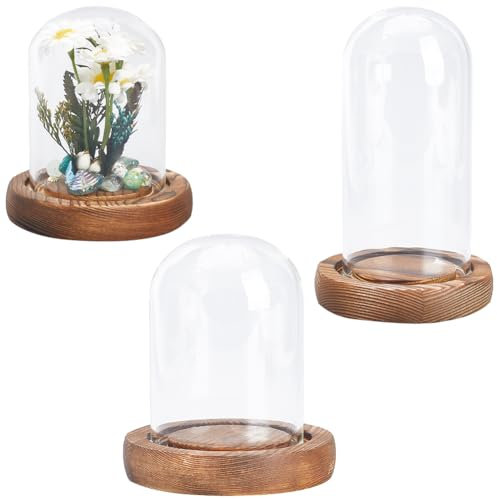 SUNNYCLUE 3 Taille Couvercle de Dôme en Verre Couvercle de Dôme D'Affichage en Verre Transparent avec Base en Bois Petits Dômes en Verre Mini Cloches en Verre Dôme de Cloche en Verre Dôme D'Affichage