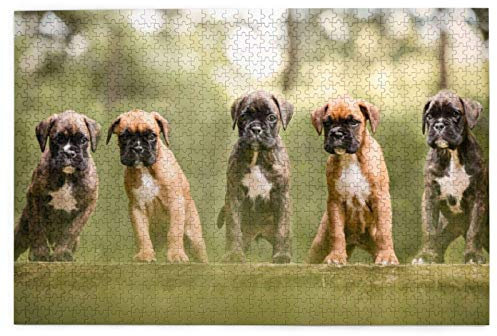 Jigsaw Puzzles 1000 Pieces Boxer Dogs Puppies Pets Family Dogs Jigsaw Toy Family Game Wall Decor for Adults Teens 26x38CM