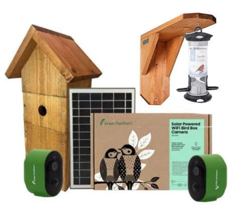Green Feathers Solar Bird Box and Bird Feeder 2 Camera Garden Kit