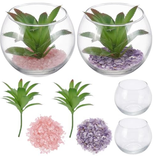 WEBEEDY Set di 2 terrari fai da te in vetro per adulti, mini terrario con piante, cristalli, micro paesaggio, kit fai da te per casa, camera da letto, decorazione per feste, arti e mestieri, regalo di