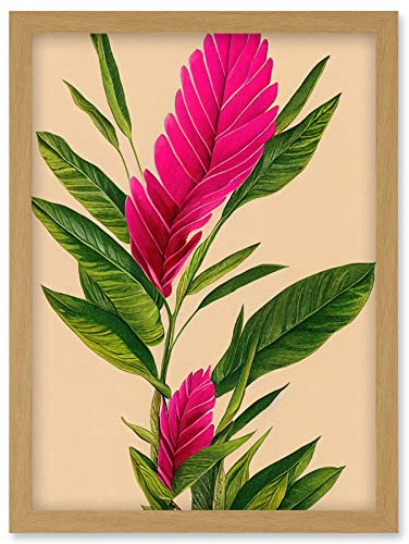 Wee Blue Coo Tropical Hawaiian Botanical Exotic Pink Floral illustration Artwork Framed Wall Art Print A4