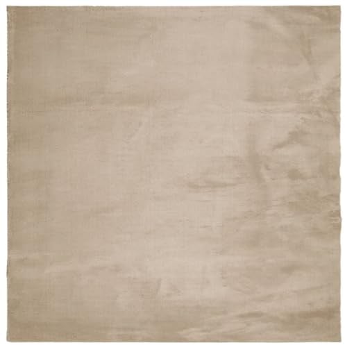 vidaXL Teppich, Wohnzimmerteppich Kurzflor Weich Waschbar, Moderner Teppich für Wohnzimmer Schlafzimmer, Flauschig Einfarbig rutschfest, Sandfarben 240x240cm