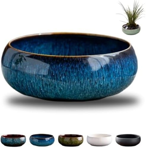 OWSEN Lotus Bowl Pot de fleurs rond en céramique pour plantes succulentes Design étanche Bleu ciel