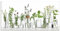 ARTLAND Spritzschutz Küchenrückwand Küche Herd Glas mit Motiv 100x50 cm Desgin Modern Kräuter Pflanzen Blumen Basilikum Lavendel Gewürze H9KE