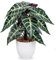 Oairse Kunstpflanze im Topf Kunstpflanze Philodendron Gloriosum Deko Modern Kunstpflanzen Kunststoff Pflanzen Deko für Wohnzimmer Balkon Schlafzimmer Badezimmer Zimmer Tischdeko