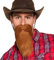 Boland 01844 - Bart Cowboy, One Size, Braun, Accessoire, Make-Up, Schnurrbart, Karneval, Kostüm, Mottoparty