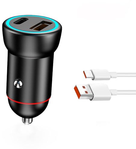 PZCC Chargeur de Voiture Ultra-Rapide 100 W, Sortie Double Port Intelligente 4.8 A, Design Compact, protège Les appareils et Les Batteries de Voiture (Chargeur + câble de Charge Rapide 5A)