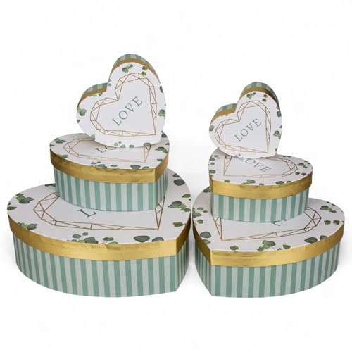 8-teiliges Set Geschenkschachteln Geschenkboxen Geschenkkarton, 6 Stück Geschenkkartonage Boxenset Weihnachten Geburtstag Hochzeit, ca. 22,5 x 22,5 x 8 cm (Herzform Weiß-Grün)