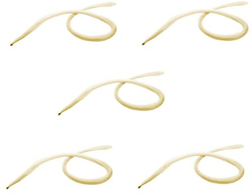 Gbloodst 5 Stück 75 cm Geigen aus natürlichem Pferdehaar für Violine