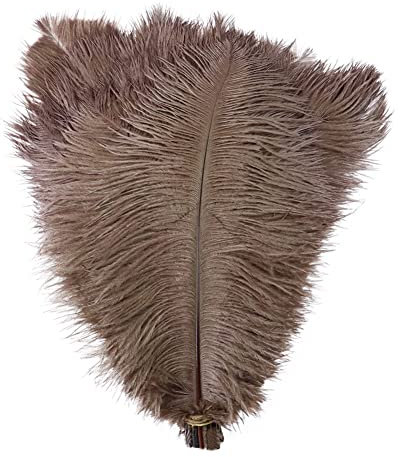 10 Stück Straußenfedern, 25-30cm Natürliche Straußenfedern DIY Basteln Traumfänger Handgefertigte Feder Straußenfedern Pink schwarz Rot Gold Lila Straußenfeder Deko für Hochzeitsdekoration Zuhause