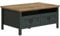 trendteam smart living - Stanton - Couchtisch - Tannengrün/Evoke Eiche - Sofatisch mit zusätzlicher Ablage und 2 Schubladen - (BxHxT) 101 x 45 x 60 cm - Landhausstil