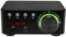 HUIOP Amplificateur numérique HiFi BT5.0 Amplificateur Numérique Mini Ampli Audio Stéréo 100W Récepteur Audio Puissance Sonore Double Canal Stéréo AMP USB AUX pour Cinéma Lecteurs de Carte TF TF Noir