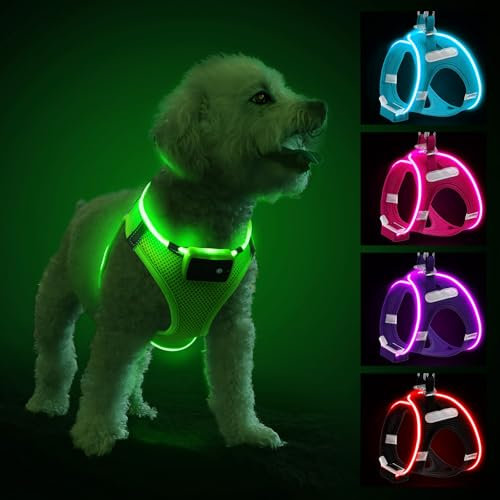 PcEoTllar Hundegeschirr Leuchtend, Leuchtgeschirr LED Aufladbar & Reflektierendes, Beleuchtetes Leuchtgeschirr für Welpe Klein Mittlere Hund, Atmungsaktiv Leucht Geschirr, Grün-XS
