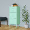 Iiaky Lagerschrank Minzgrün 42,5x35x101,5 cm LagerschräNke Gartenschrank Lagerschrank Highboard Schrank Stahl