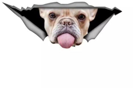 Französische Bulldogge Autoaufkleber, Lustiger Hund mit Herausgestreckter Zunge, 3D Zerrissener Effekt,Wasserdichter Aufkleber für Laptop, Kühlschrank, Stoßstange und Fenster (15cm/5.9 Inch)